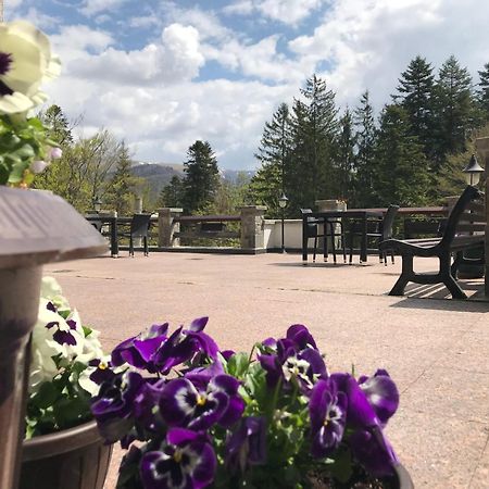 Vila Terase Hotel Sinaia Ngoại thất bức ảnh