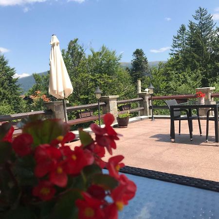 Vila Terase Hotel Sinaia Ngoại thất bức ảnh