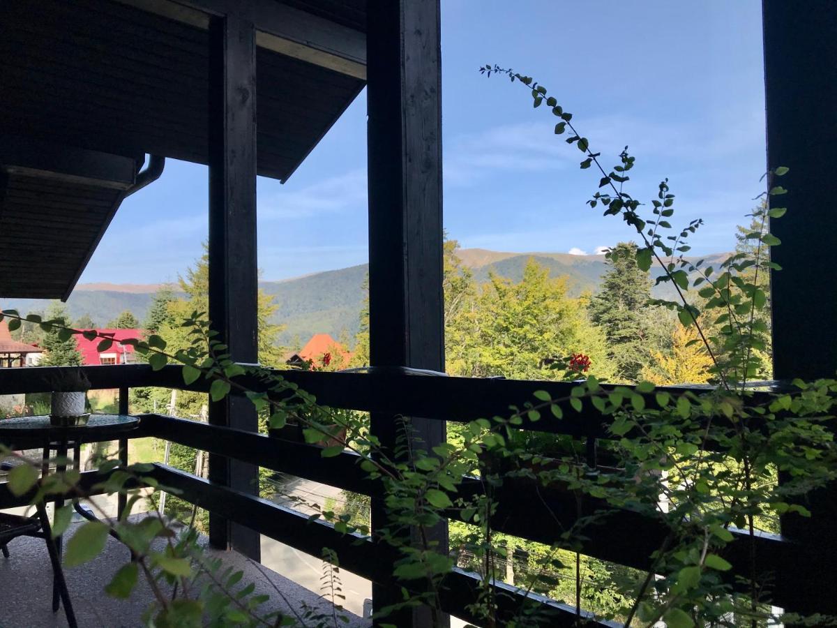 Vila Terase Hotel Sinaia Ngoại thất bức ảnh