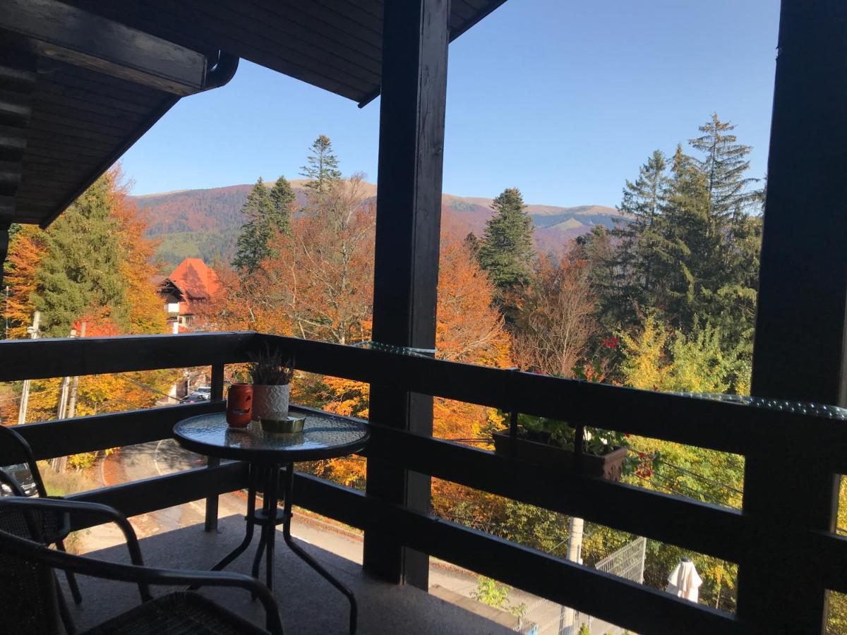 Vila Terase Hotel Sinaia Ngoại thất bức ảnh