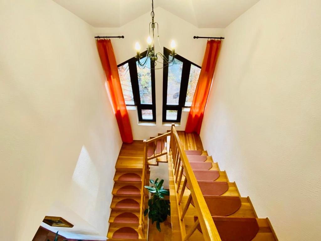 Vila Terase Hotel Sinaia Ngoại thất bức ảnh