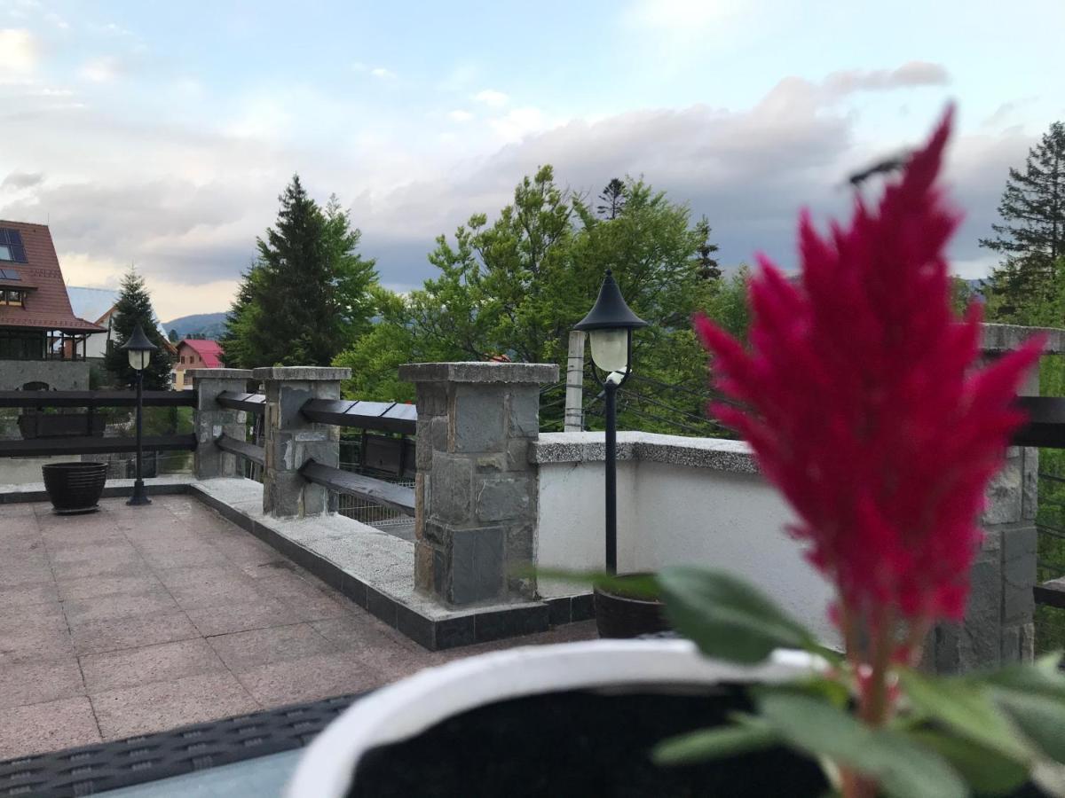 Vila Terase Hotel Sinaia Ngoại thất bức ảnh
