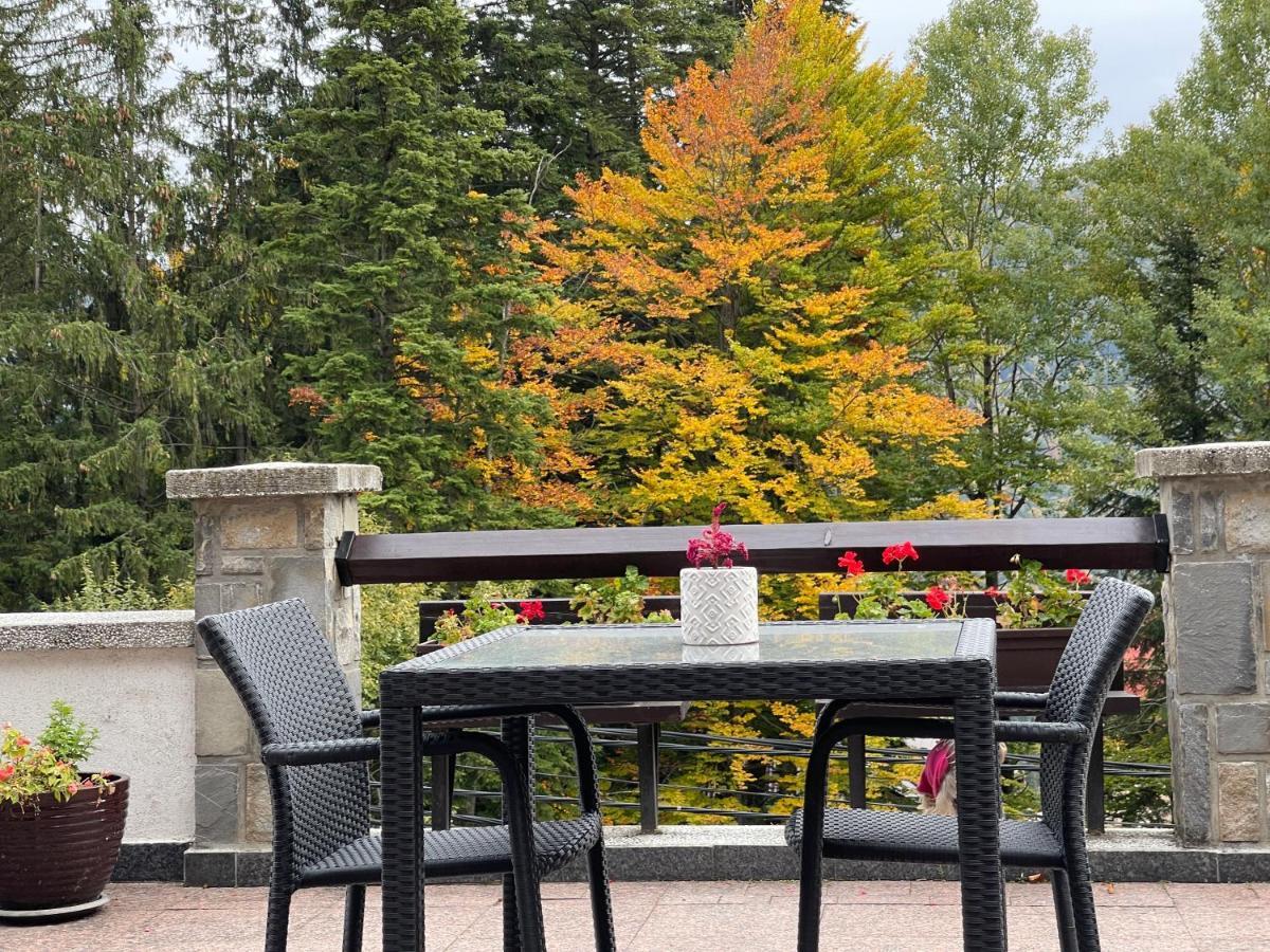 Vila Terase Hotel Sinaia Ngoại thất bức ảnh