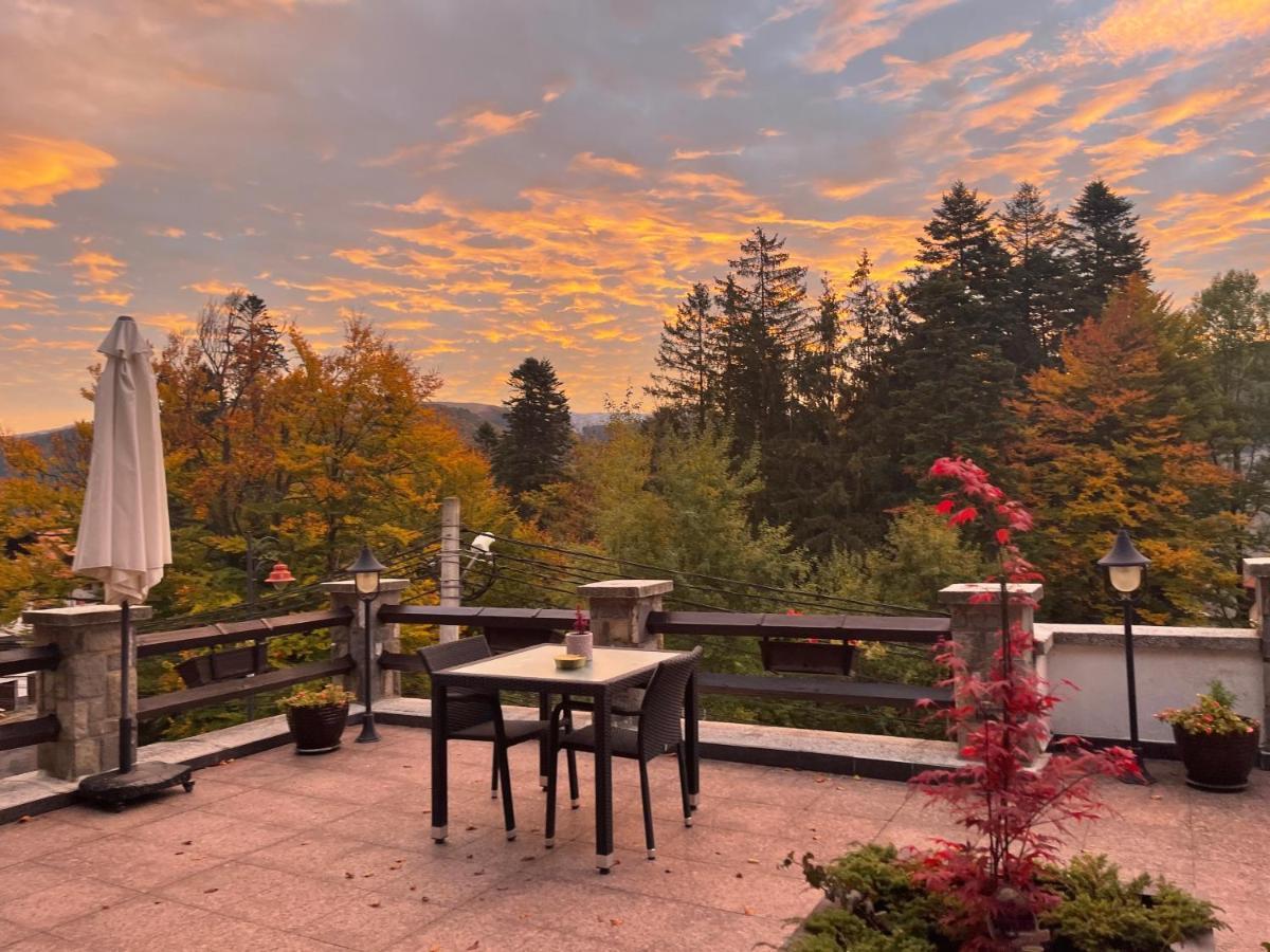 Vila Terase Hotel Sinaia Ngoại thất bức ảnh