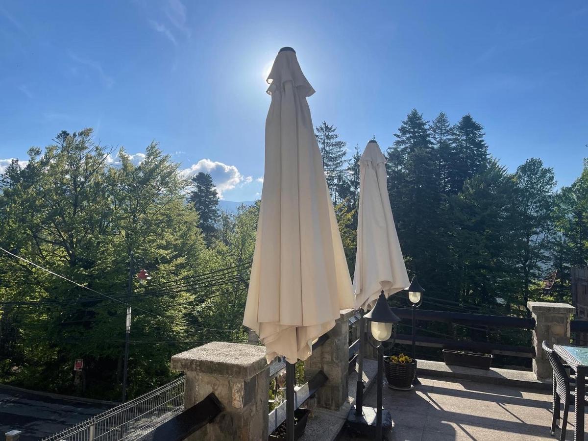 Vila Terase Hotel Sinaia Ngoại thất bức ảnh
