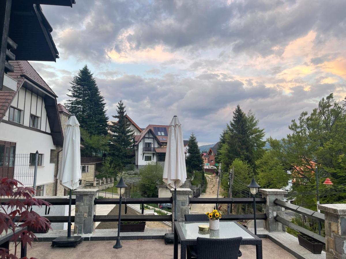 Vila Terase Hotel Sinaia Ngoại thất bức ảnh