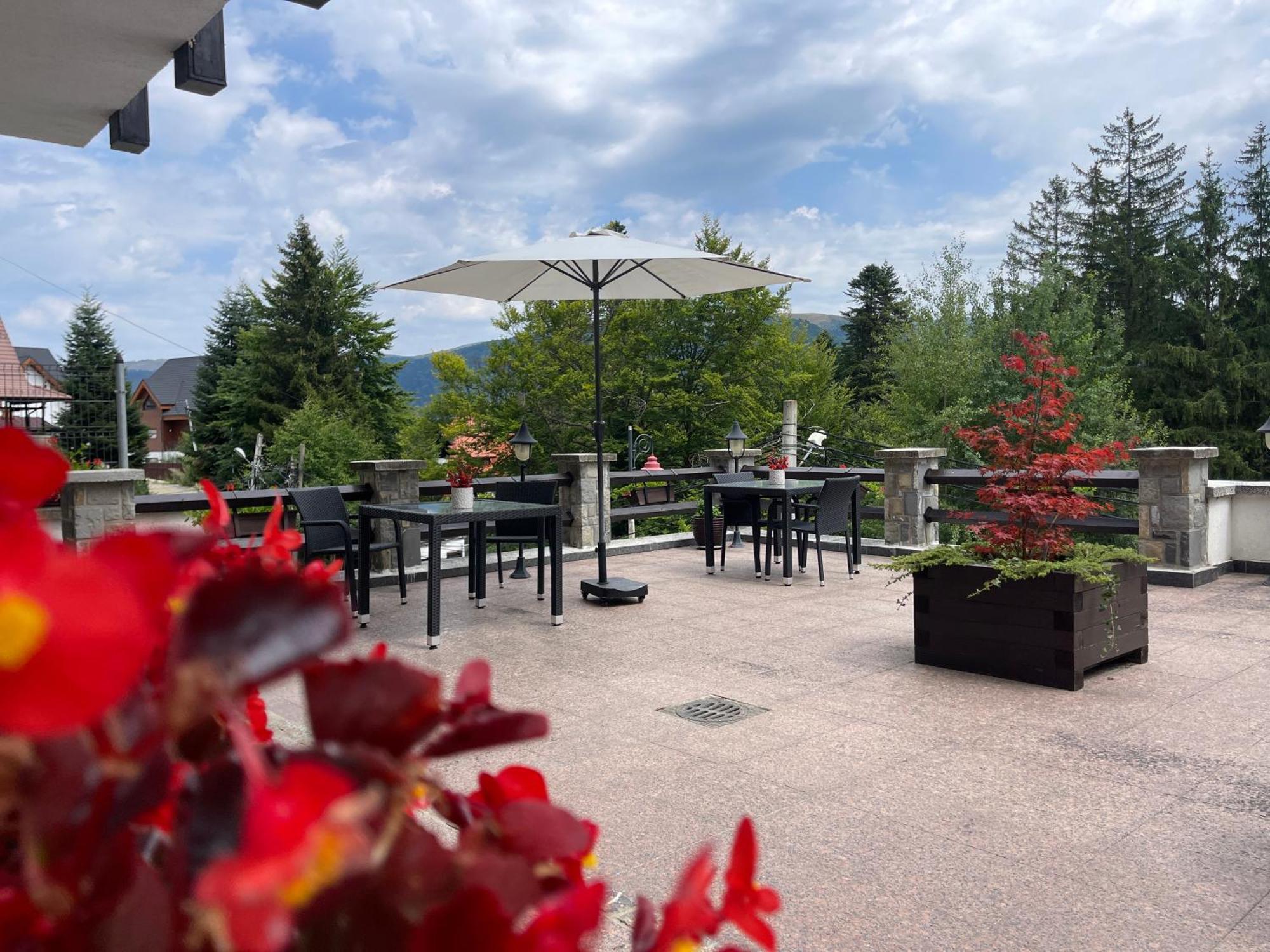 Vila Terase Hotel Sinaia Ngoại thất bức ảnh