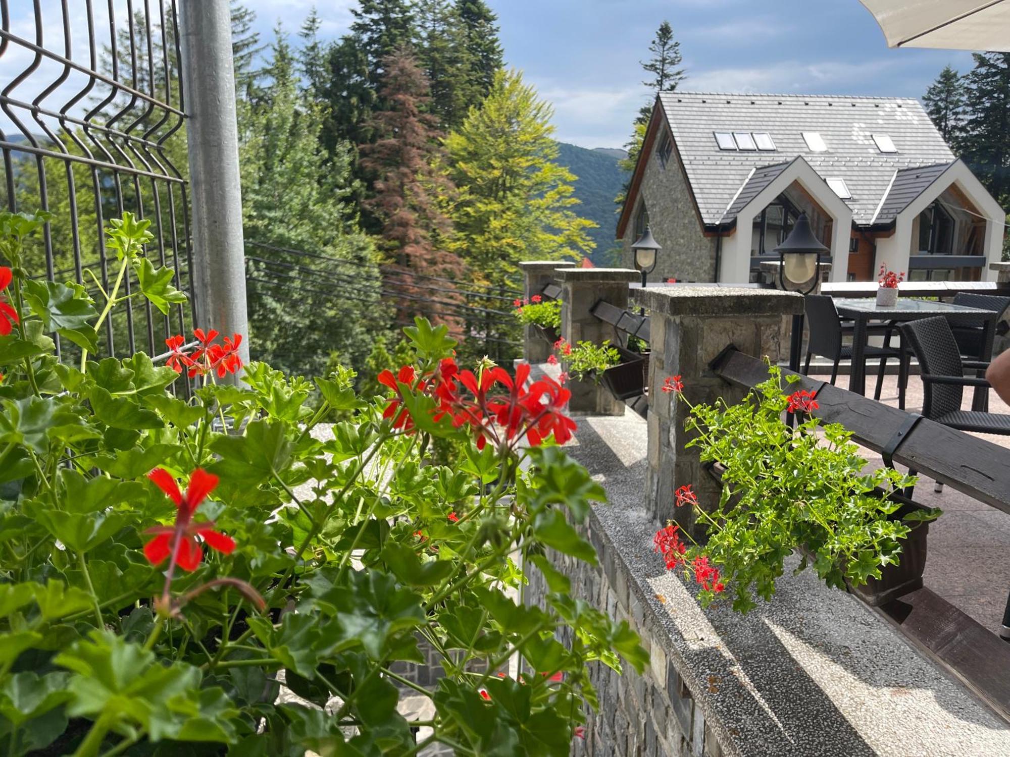 Vila Terase Hotel Sinaia Ngoại thất bức ảnh