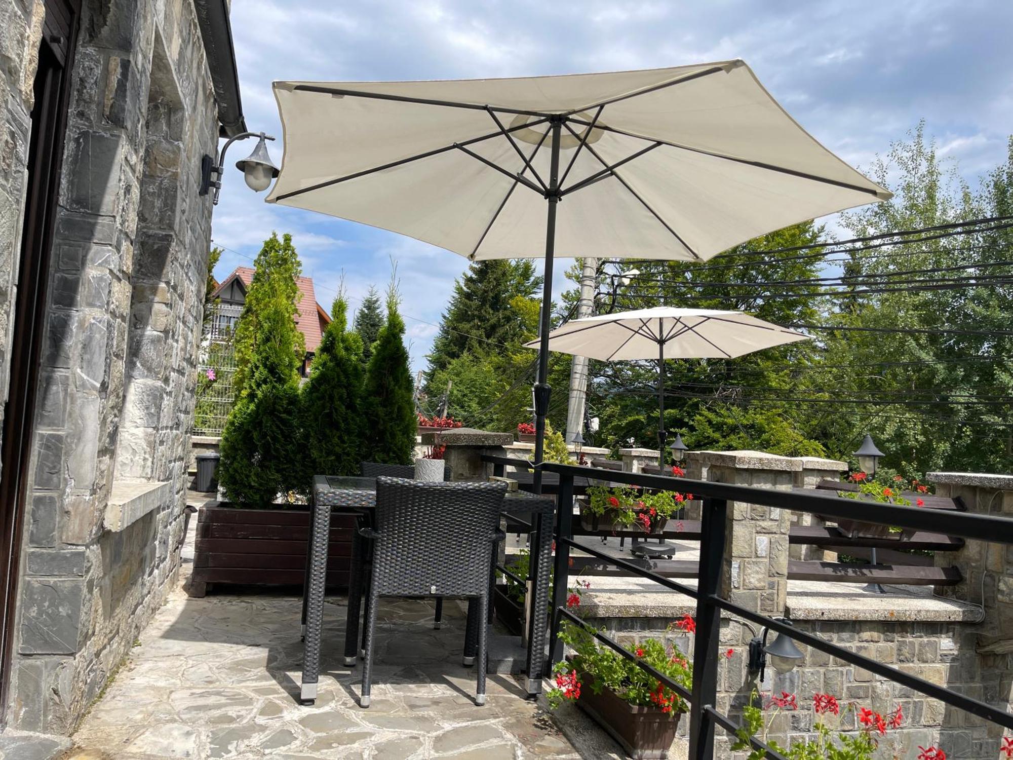 Vila Terase Hotel Sinaia Ngoại thất bức ảnh