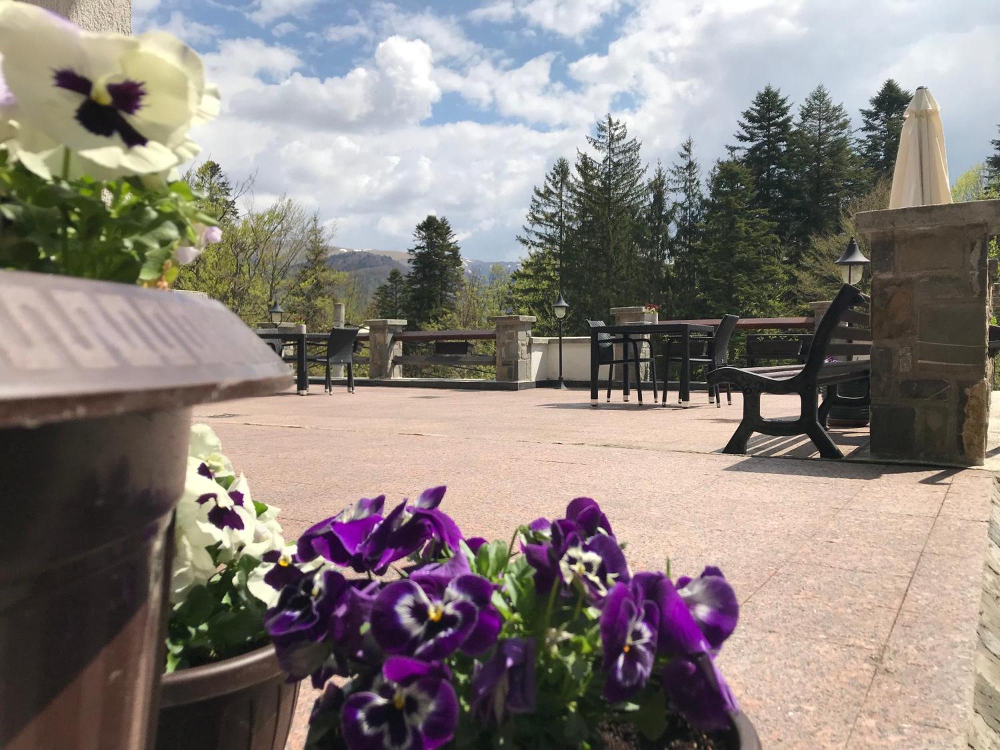 Vila Terase Hotel Sinaia Ngoại thất bức ảnh