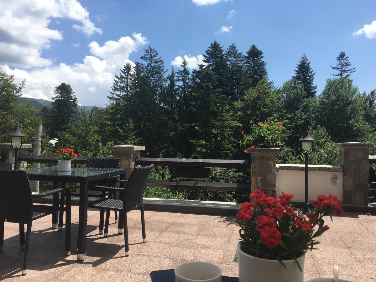 Vila Terase Hotel Sinaia Ngoại thất bức ảnh