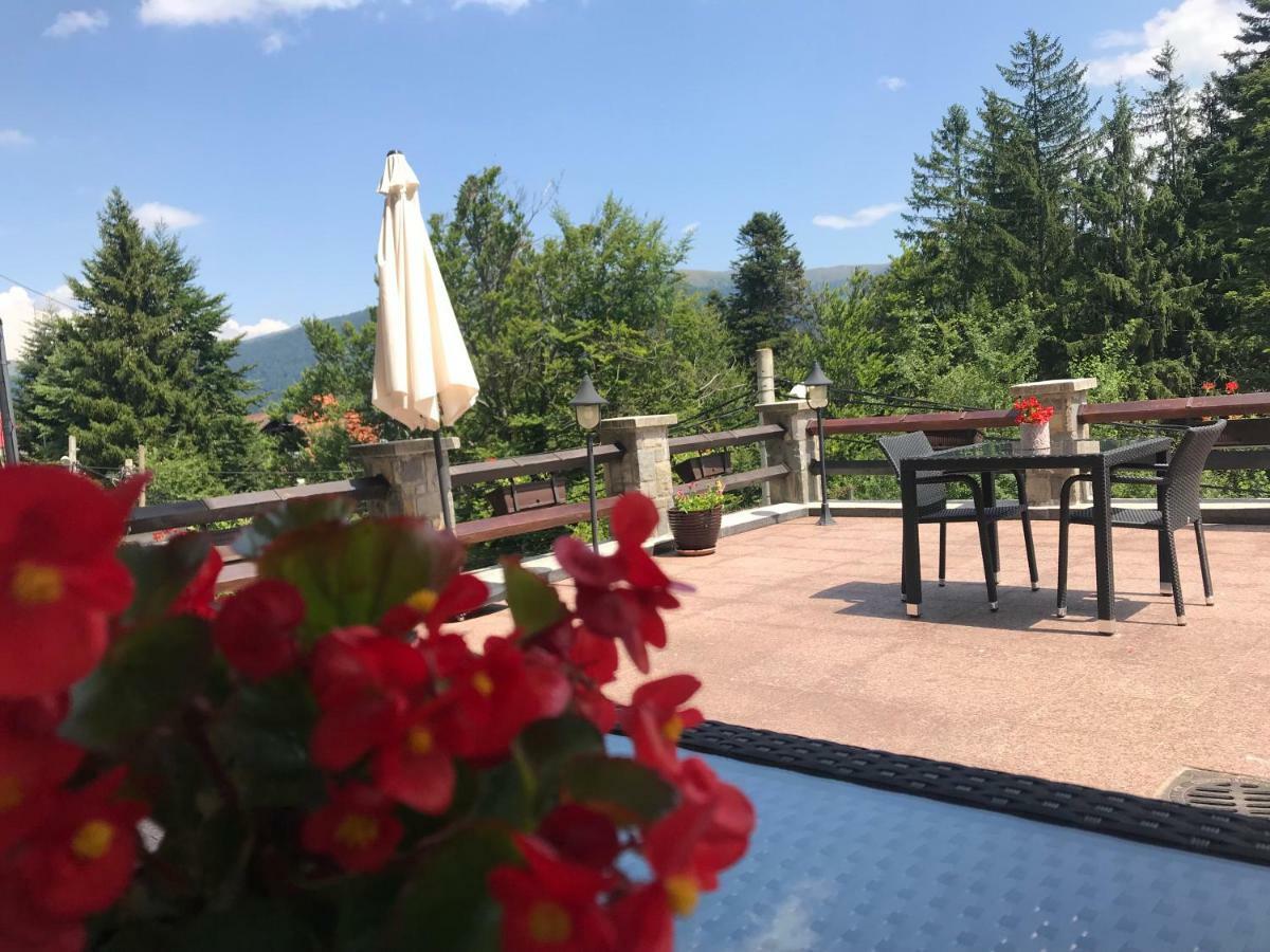 Vila Terase Hotel Sinaia Ngoại thất bức ảnh