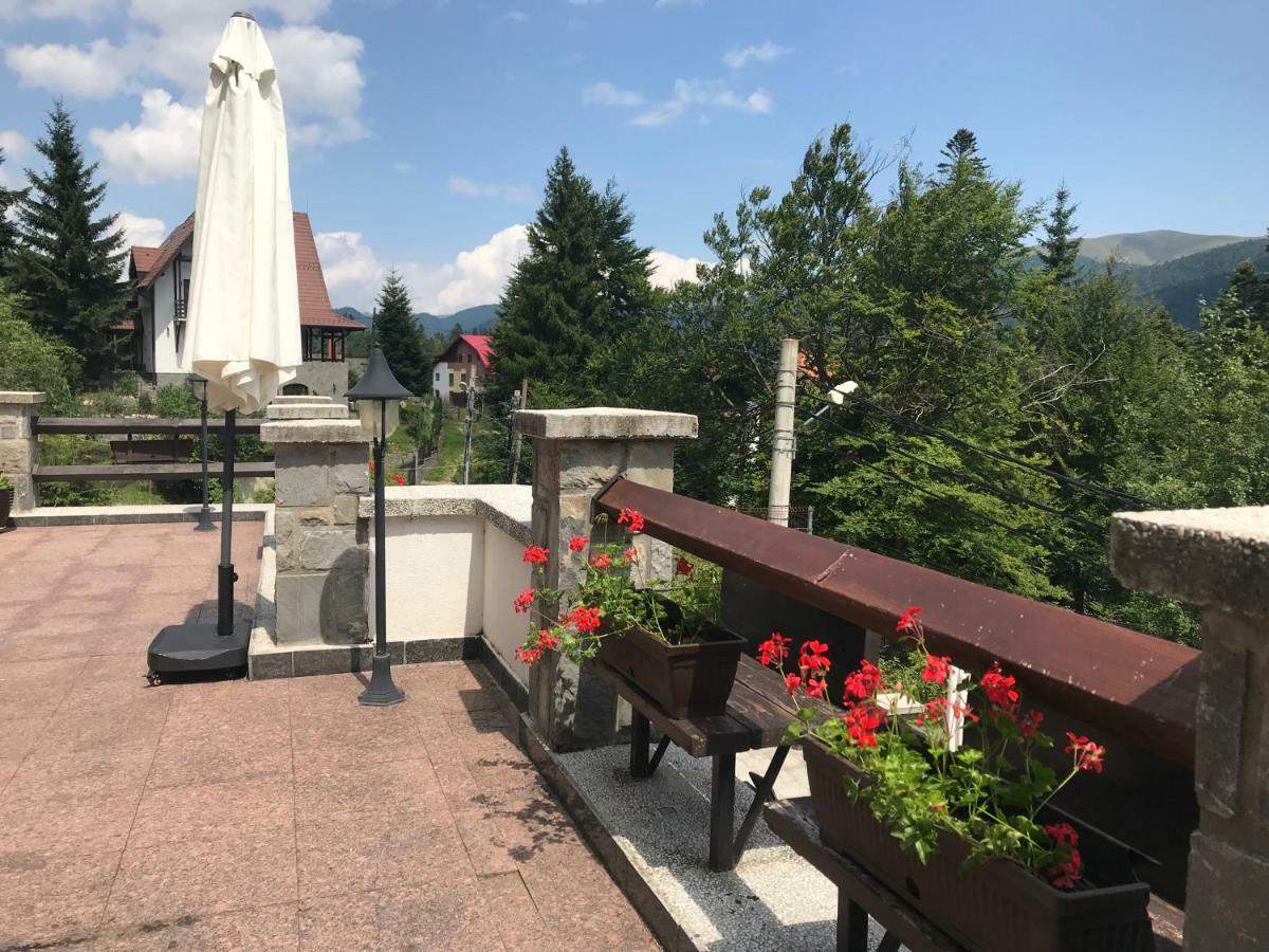 Vila Terase Hotel Sinaia Ngoại thất bức ảnh